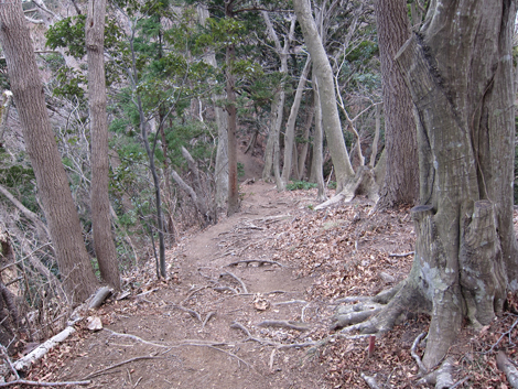 20190214hike (338)